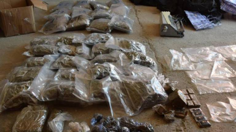 Rimini, marijuana in auto e nel magazzino: maxi sequestro da 42 chili Rimini, marijuana in auto e nel magazzino: maxi sequestro da 42 chili