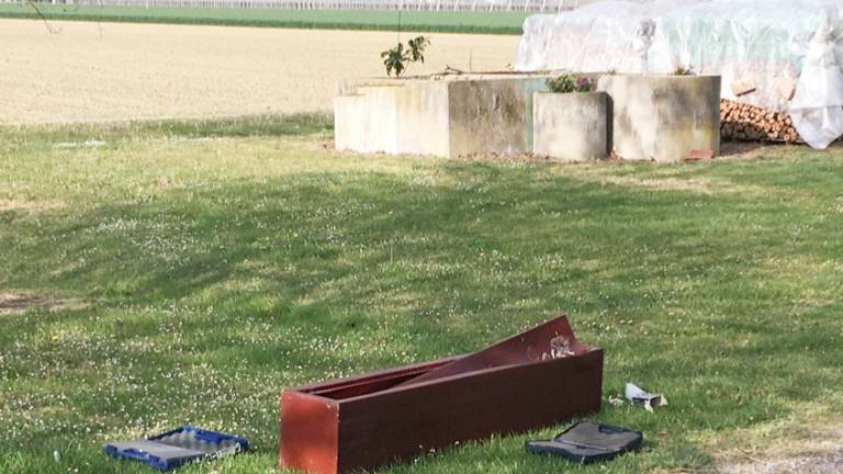 Ladri in azione nel Lughese, rubate anche due pistole Ladri in azione nel Lughese, rubate anche due pistole