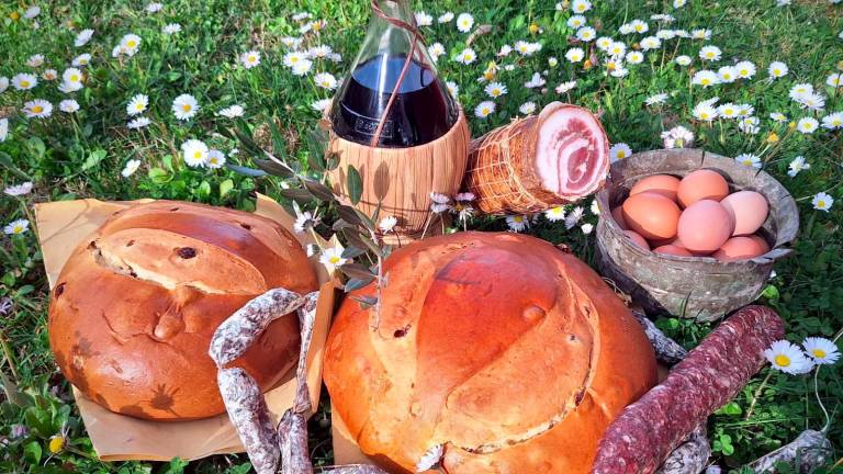 Mercato Saraceno, “Passi e parole di vino” domenica 7 aprile alla scoperte delle cantine della Valle del Savio Mercato Saraceno, “Passi e parole di vino” domenica 7 aprile alla scoperte delle cantine della Valle del Savio