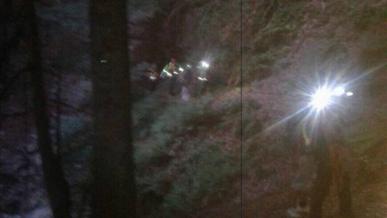 Madre e figlio di Cesena persi a Ferragosto dentro alla foresta Madre e figlio di Cesena persi a Ferragosto dentro alla foresta
