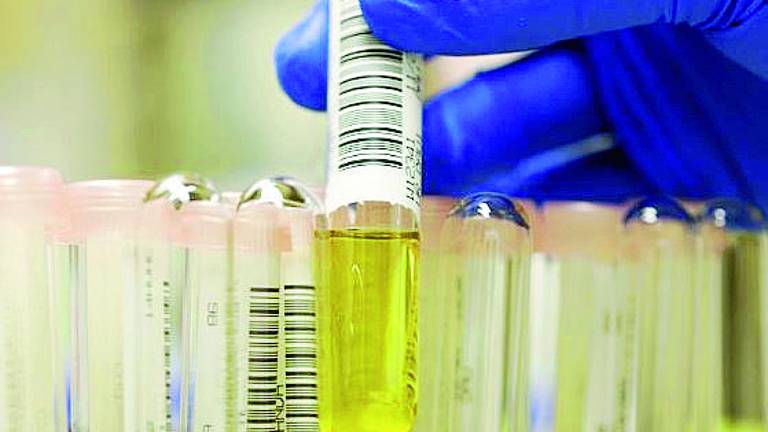 Rimini,scambiata la pipì da analizzare: medico e infermiera a processo Rimini,scambiata la pipì da analizzare: medico e infermiera a processo