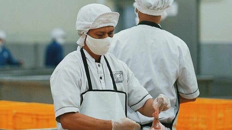 Il mondo del lavoro in Romagna? Soffre la carenza di manodopera Il mondo del lavoro in Romagna? Soffre la carenza di manodopera