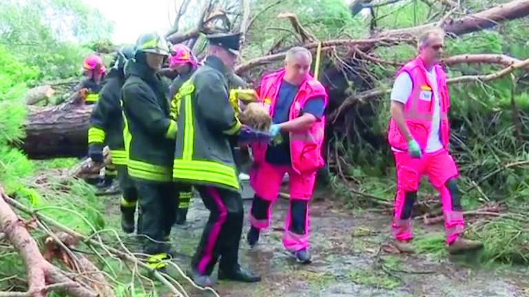 Colpita da pino durante la tempesta di Milano Marittima, ferita resta grave Colpita da pino durante la tempesta di Milano Marittima, ferita resta grave