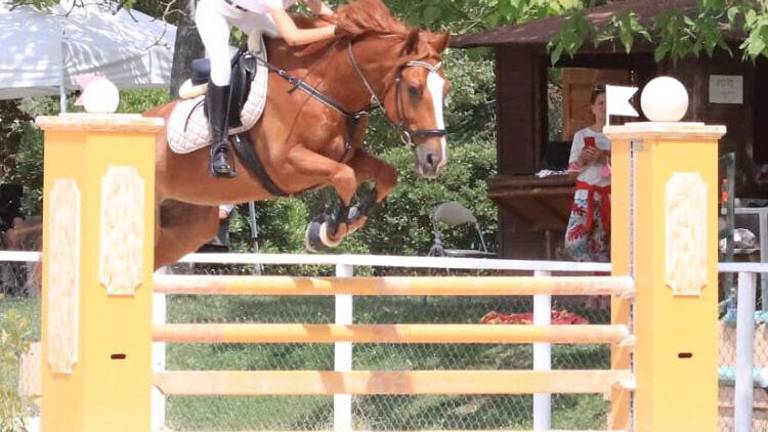 Equitazione, Rebecca Rossi vince il Trofeo Young Riders Equitazione, Rebecca Rossi vince il Trofeo Young Riders