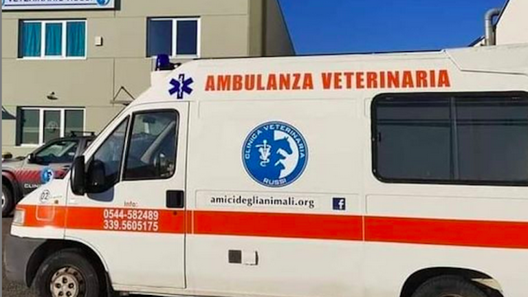 Ravenna, un'ambulanza veterinaria a servizio degli animali Ravenna, un'ambulanza veterinaria a servizio degli animali