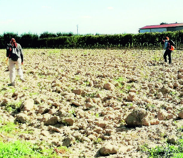 Faenza, al via le ricognizioni archeologiche in pianura Faenza, al via le ricognizioni archeologiche in pianura