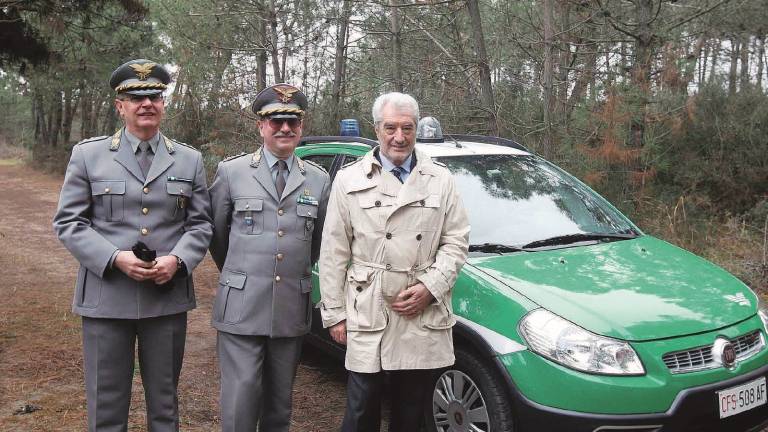 Lido di Dante, tornano i divieti in spiaggia per salvare la rinascita della pineta Ramazzotti Lido di Dante, tornano i divieti in spiaggia per salvare la rinascita della pineta Ramazzotti