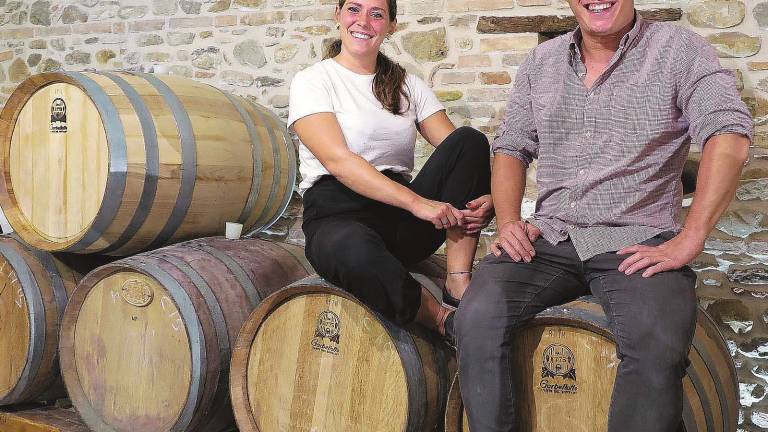 Meno vino ma ottimo: protezione solare per salvare l'uva Meno vino ma ottimo: protezione solare per salvare l'uva