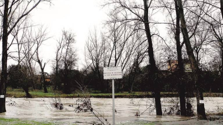 Imola e Vallata sotto l'acqua, a a Casalfiumanese una famiglia evacuata Imola e Vallata sotto l'acqua, a a Casalfiumanese una famiglia evacuata