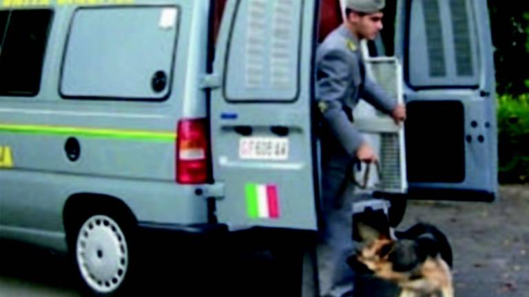 Droga nel camion ma non è sua, assolto dopo due anni di galera Droga nel camion ma non è sua, assolto dopo due anni di galera