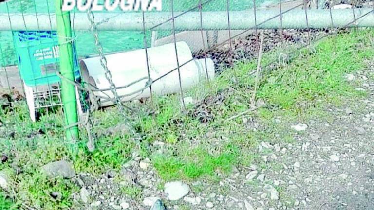 Rubano cinque quintali di trote stordendole con la corrente elettrica Rubano cinque quintali di trote stordendole con la corrente elettrica