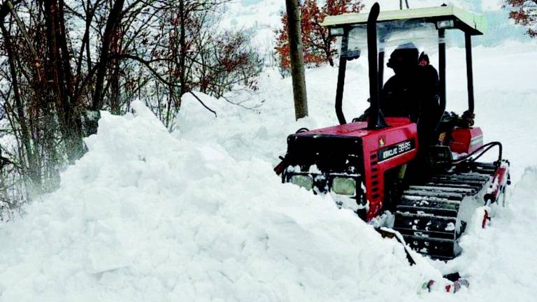 A Cesena oltre 261mila euro di contributi regionali per i danni del nevone A Cesena oltre 261mila euro di contributi regionali per i danni del nevone