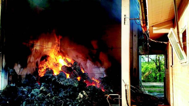 Rogo alle scuderie, cavalli salvati in extremis Rogo alle scuderie, cavalli salvati in extremis