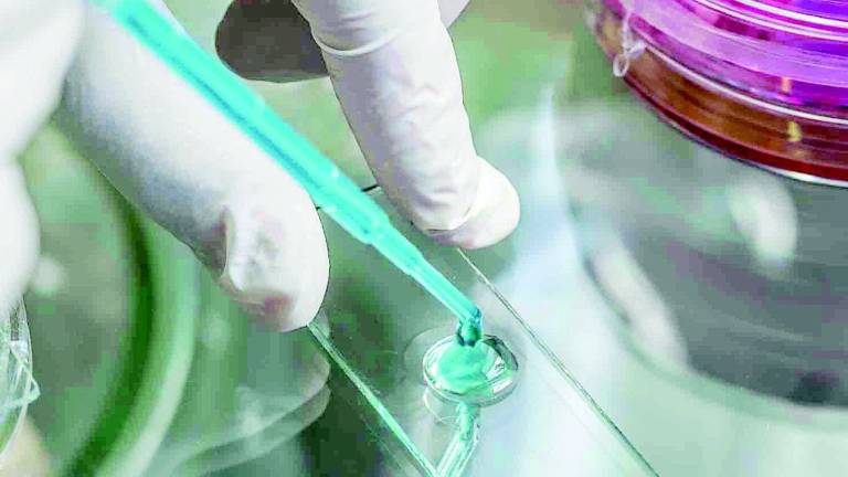 Colpito da legionella, grave anziano Colpito da legionella, grave anziano