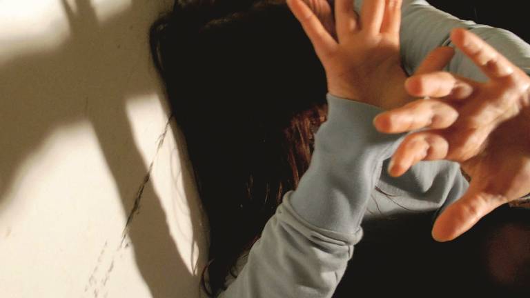Maltrattamenti in famiglia e lesioni Maltrattamenti in famiglia e lesioni