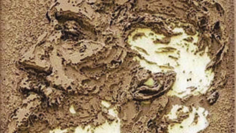 Selvatico tre coinvolge nove comuni Selvatico tre coinvolge nove comuni