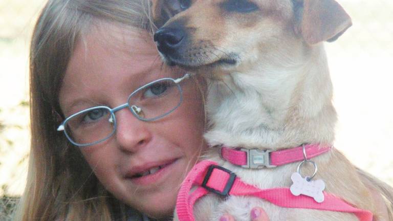 Cane ucciso a fucilate, nessun colpevole Cane ucciso a fucilate, nessun colpevole