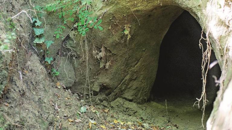 Dalla collina riaffiora un rifugio anti bomba Dalla collina riaffiora un rifugio anti bomba