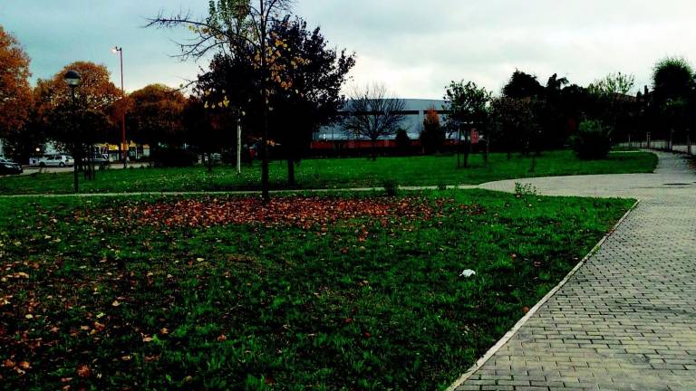 Domani inaugura il giardino dedicato a Marco Pantani Domani inaugura il giardino dedicato a Marco Pantani