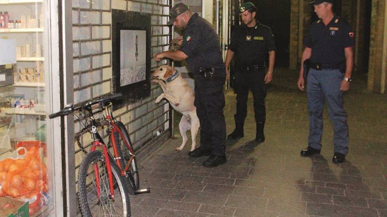 Ennesima scazzottata agli Speyer Ennesima scazzottata agli Speyer