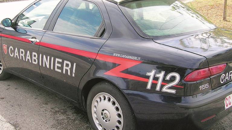 Muore in casa, il cane lo mangia Muore in casa, il cane lo mangia