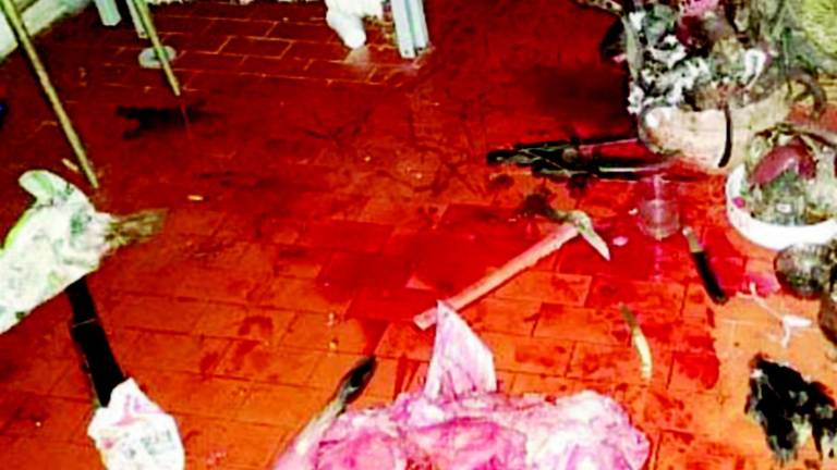 Sgozza una capretta nel garage di casa Sgozza una capretta nel garage di casa