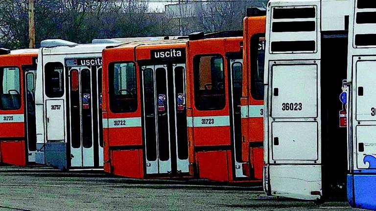Rimini, per gli studenti una card per viaggiare in libertà in Romagna Rimini, per gli studenti una card per viaggiare in libertà in Romagna