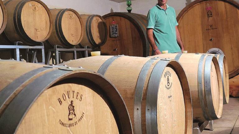Vendemmia sotto l'acqua: allarme rosso Vendemmia sotto l'acqua: allarme rosso