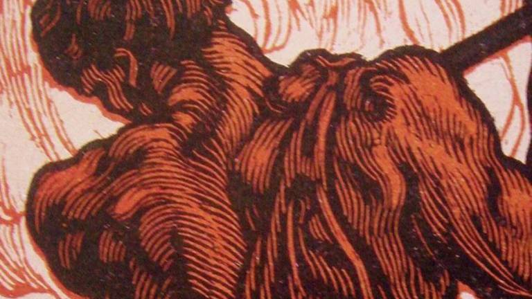 La xilografia del primo '900 La xilografia del primo '900