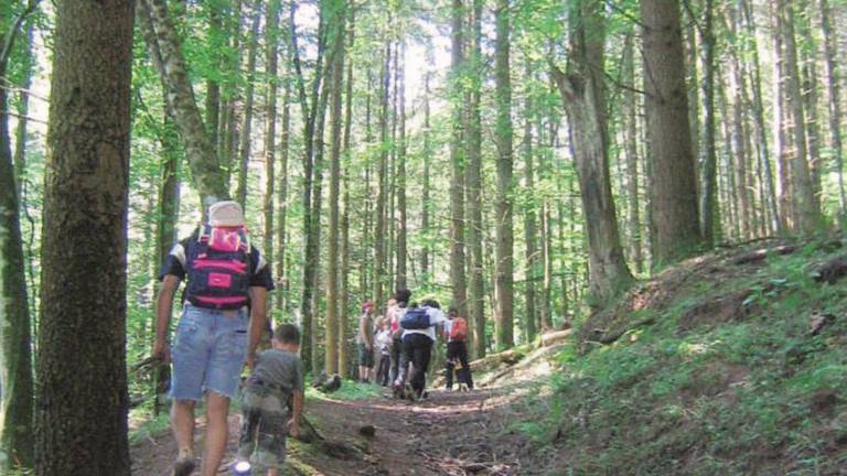 Tutti in cammino tra boschi e castelli Tutti in cammino tra boschi e castelli