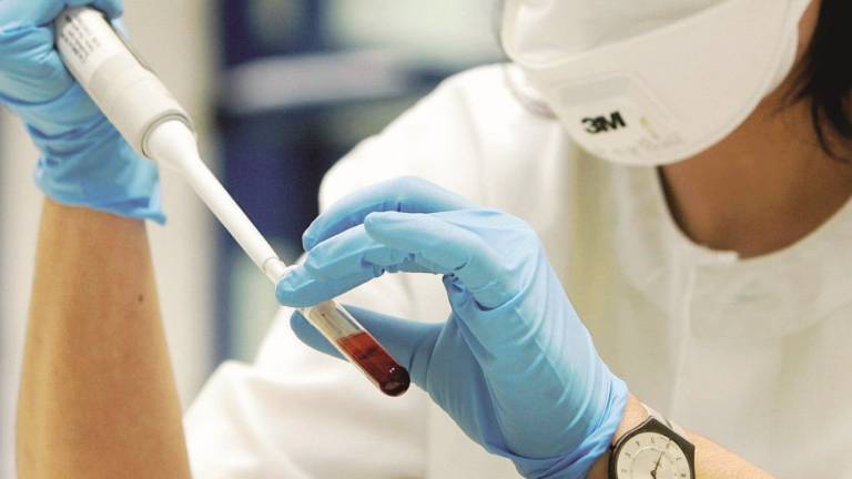 Eterologa al via, c'è già una pioggia di richieste Eterologa al via, c'è già una pioggia di richieste