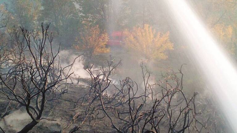 Fanno esplodere petardi per cacciare e provocano un incendio: tre denunciati Fanno esplodere petardi per cacciare e provocano un incendio: tre denunciati