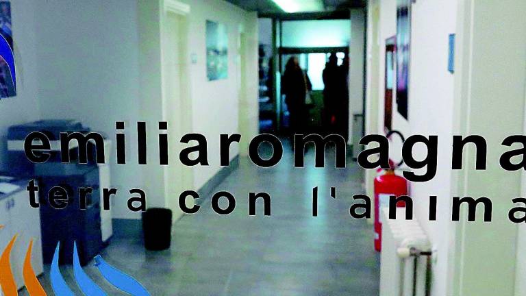 Ladri mordi e fuggi all'Apt Ladri mordi e fuggi all'Apt