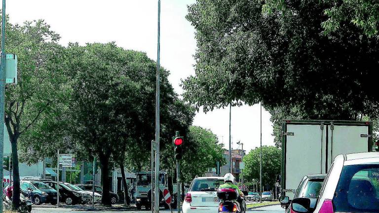 Record di multe: incassi triplicati, sfondato il tetto dei 14 milioni Record di multe: incassi triplicati, sfondato il tetto dei 14 milioni