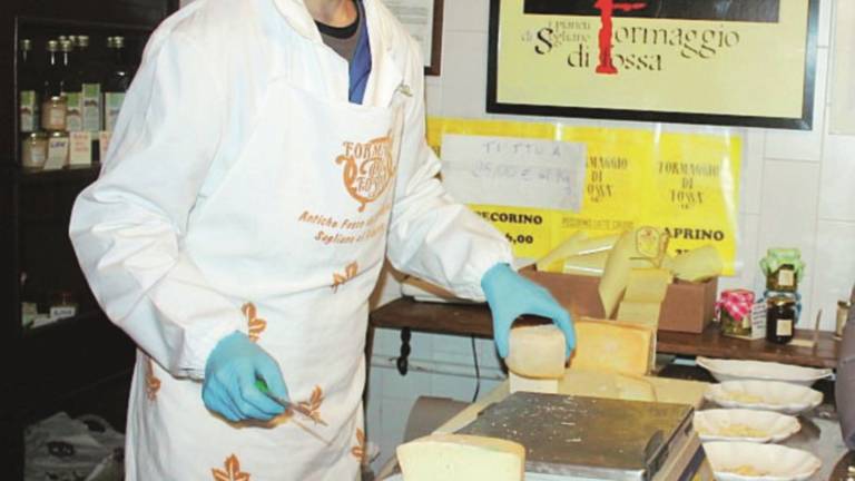 Formaggio di fossa, qualità ed attese sono grandi Formaggio di fossa, qualità ed attese sono grandi