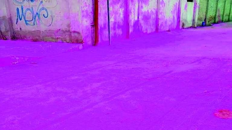 Color Vibe: vigilanza sulle operazioni di pulizia Color Vibe: vigilanza sulle operazioni di pulizia