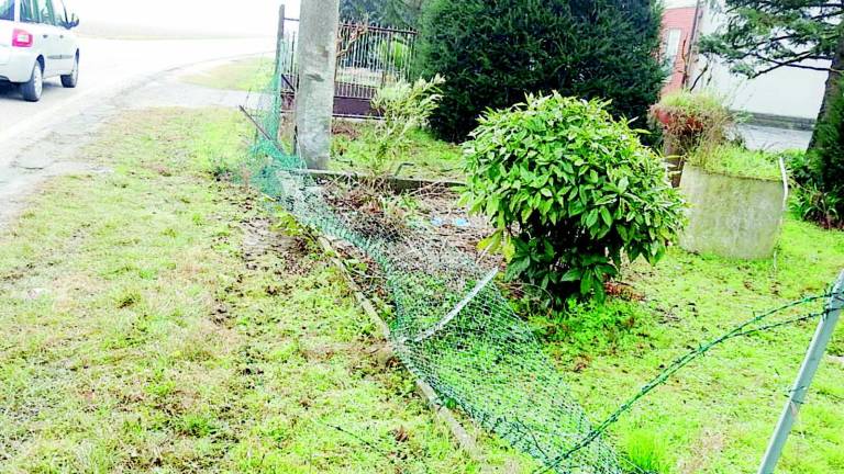 Va fuori strada per salvare un cane Sbandata fatale per un 47enne Va fuori strada per salvare un cane Sbandata fatale per un 47enne