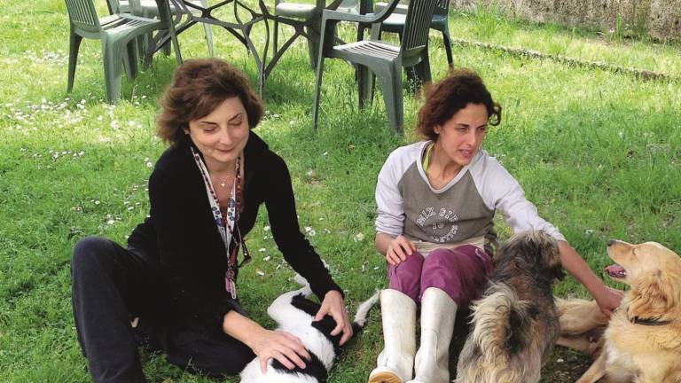 Stefano Cerni: il Comune riaffida la gestione alle associazioni Stefano Cerni: il Comune riaffida la gestione alle associazioni