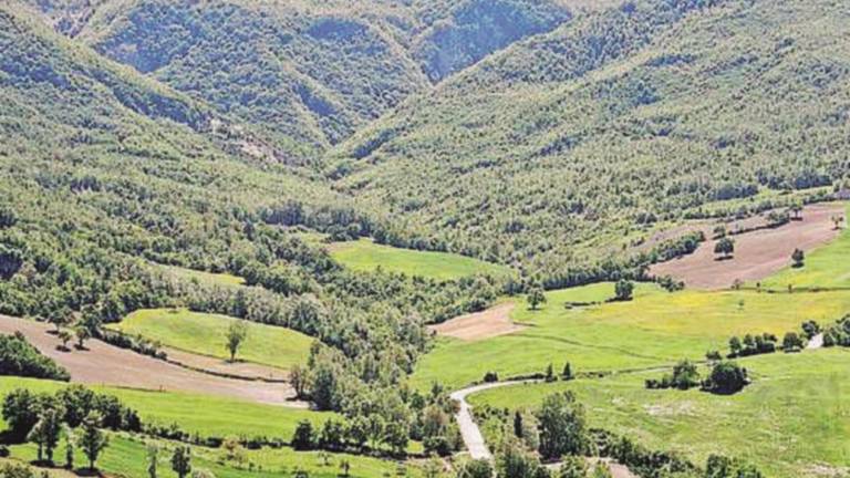Trasporto pubblico, la Valmarecchia ora è riminese Trasporto pubblico, la Valmarecchia ora è riminese