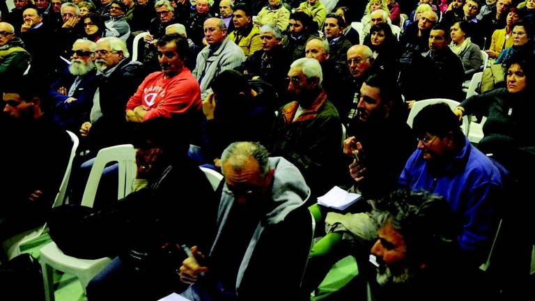 I cittadini esasperati: «Non sappiamo più come difenderci» I cittadini esasperati: «Non sappiamo più come difenderci»