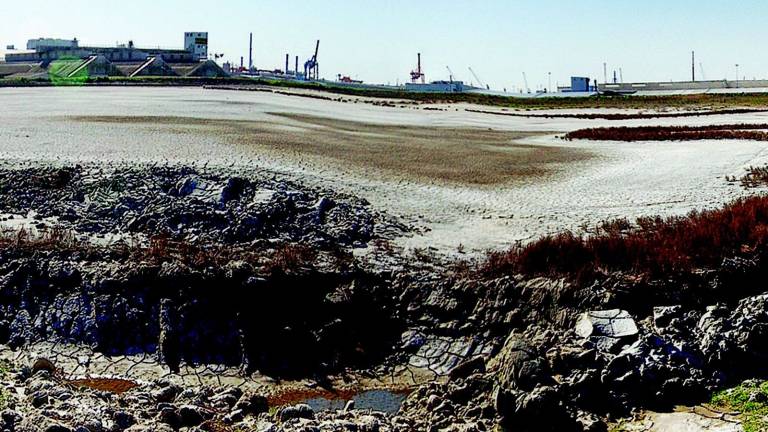 «Discariche di rifiuti speciali al porto» «Discariche di rifiuti speciali al porto»