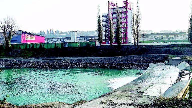Ecco le rive del Santerno disboscate Ecco le rive del Santerno disboscate