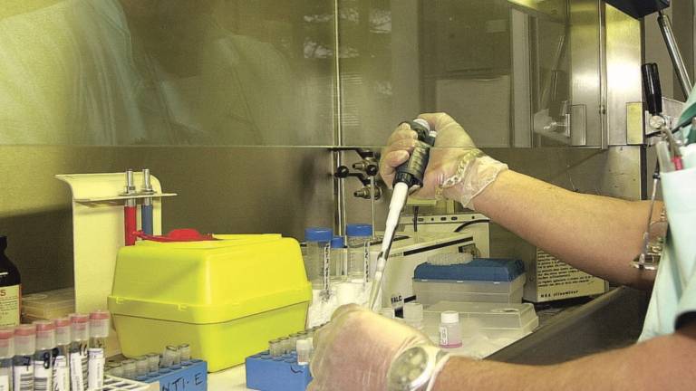 Ticket, Ausl a caccia di furbetti Ticket, Ausl a caccia di furbetti