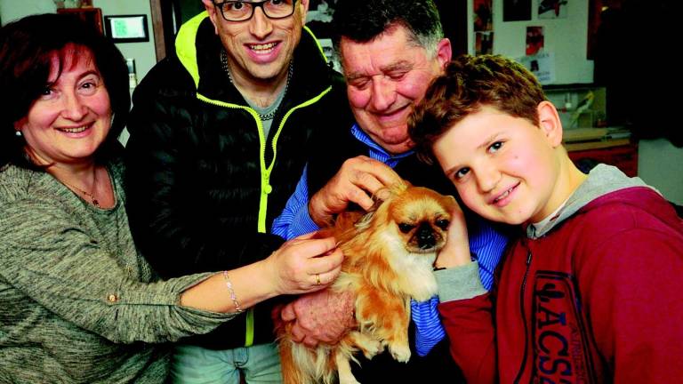 Cagnolina gettata nel cassonetto, l'operatore ecologico la salva dal tritarifiuti Cagnolina gettata nel cassonetto, l'operatore ecologico la salva dal tritarifiuti