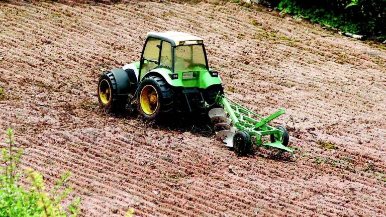 Lotti agricoli da destinare agli Under 35 Lotti agricoli da destinare agli Under 35