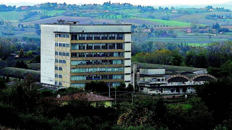 Ragazzini trovano morto impiccato da un mese Ragazzini trovano morto impiccato da un mese