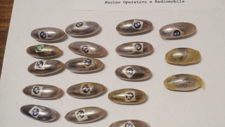 Cocaina eroina e hashish: due arresti e una denuncia Cocaina eroina e hashish: due arresti e una denuncia