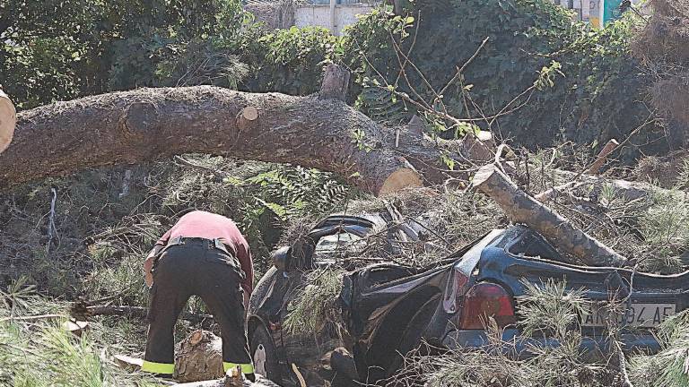 Rischia di annegare sotto il ponte Rischia di annegare sotto il ponte