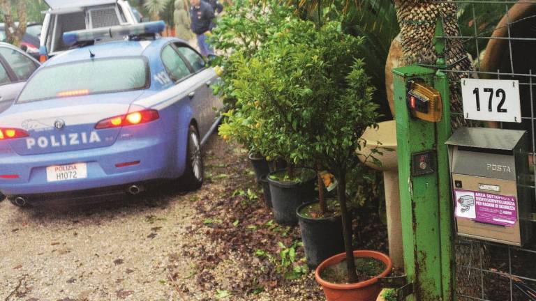 Dalle piante all'erba, stop al mercato della droga Dalle piante all'erba, stop al mercato della droga