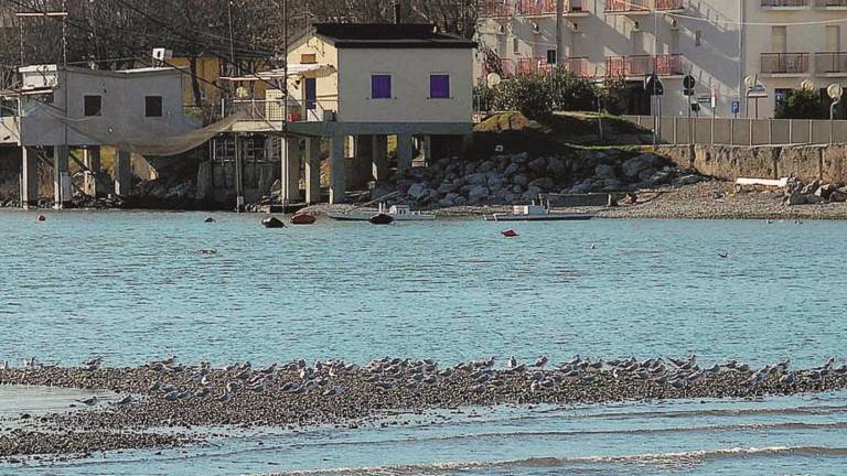 Marecchia, capanni da pesca espropriati Marecchia, capanni da pesca espropriati